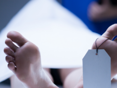 Fundación Vida Sin Violencia reporta 47 feminicidios en el primer semestre de 2026