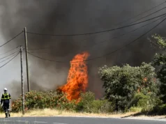 Incendios forestales arrasan miles de hectáreas en Europa impulsados por el calor extremo