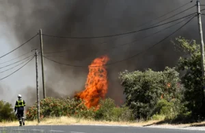 Incendios forestales arrasan miles de hectáreas en Europa impulsados por el calor extremo
