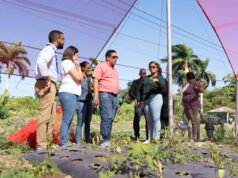 República Dominicana alcanza la meta de Hambre Cero, destaca Contrataciones Públicas