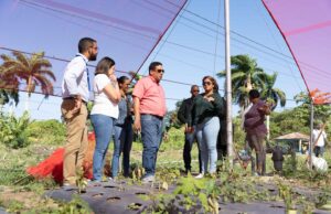República Dominicana alcanza la meta de Hambre Cero, destaca Contrataciones Públicas