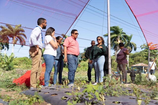 República Dominicana alcanza la meta de Hambre Cero, destaca Contrataciones Públicas