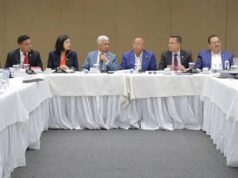 Hoy vence el plazo para proponer cambios al nuevo Código Penal