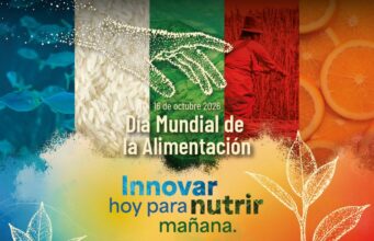 Día Mundial de la Alimentación 2026: FAO llama a innovar para combatir el hambre